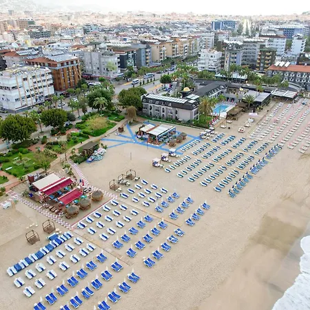 وسبا تاس بريمير