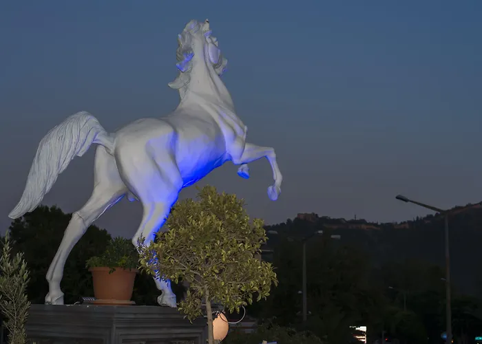 Tac Premier & Alanya